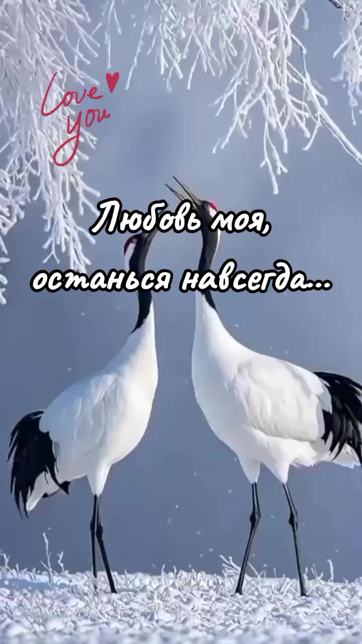 @Сакура 💥