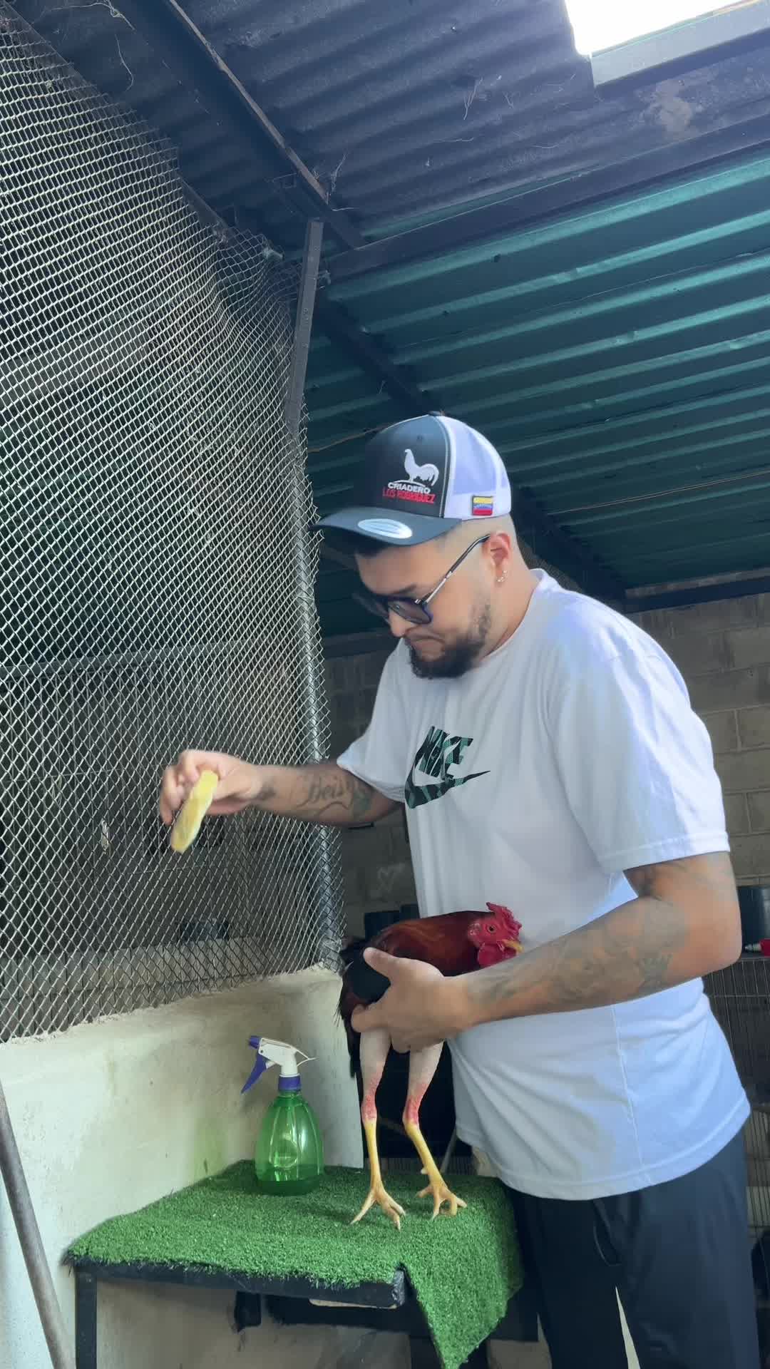 @galloslosrodriguez69