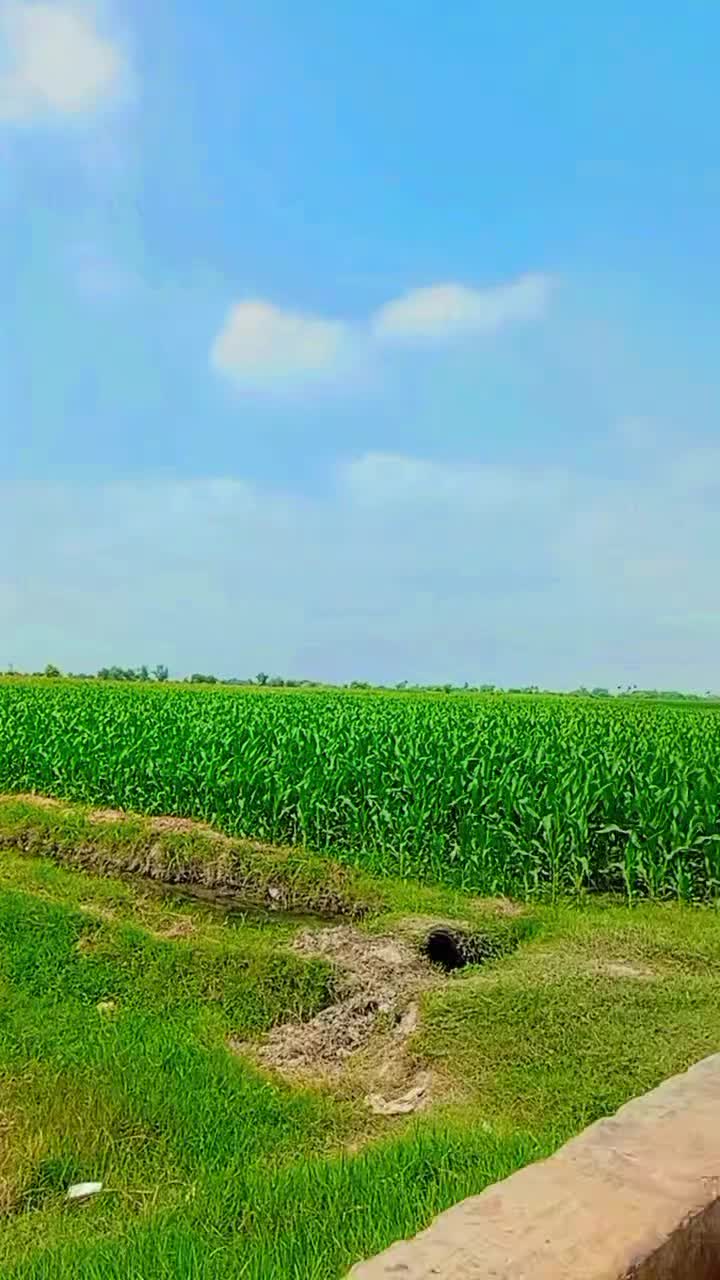 @Salman Khan 087