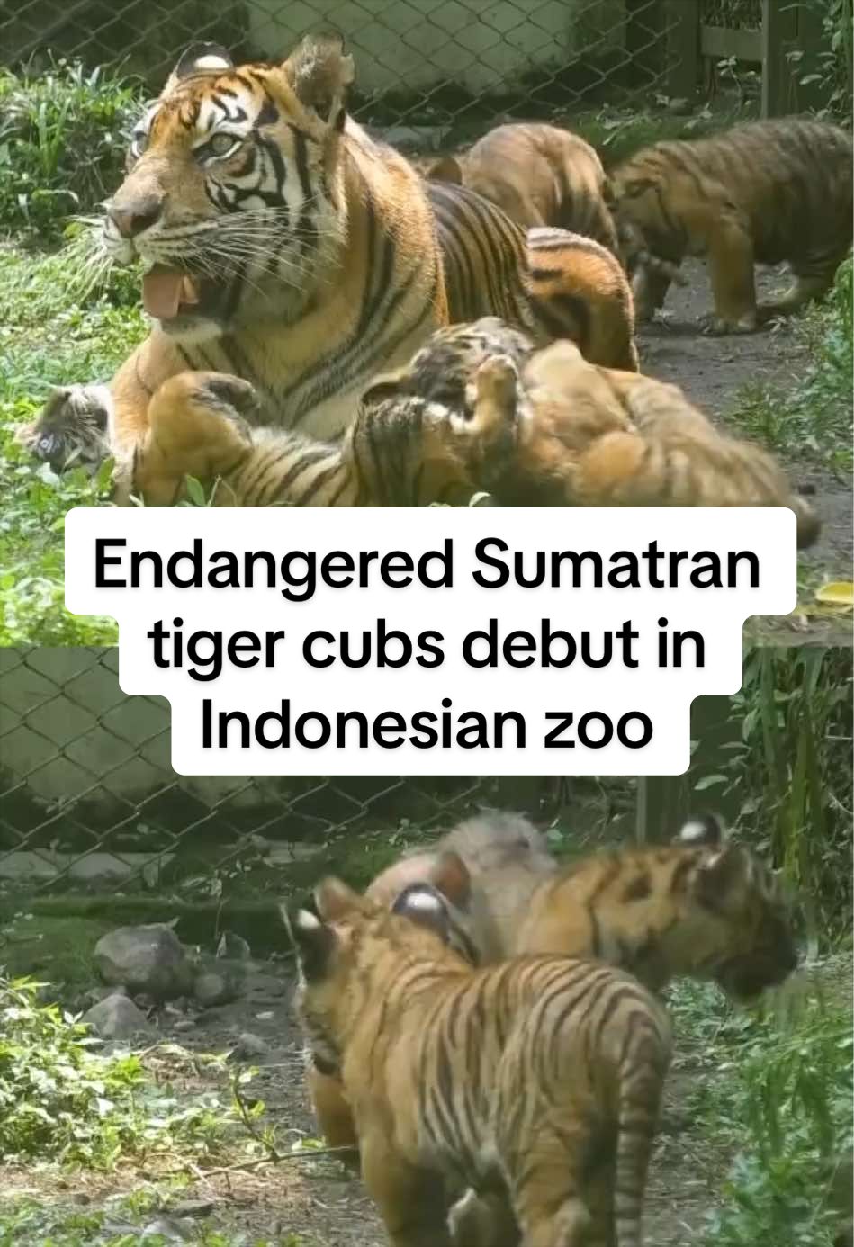 @Reuters