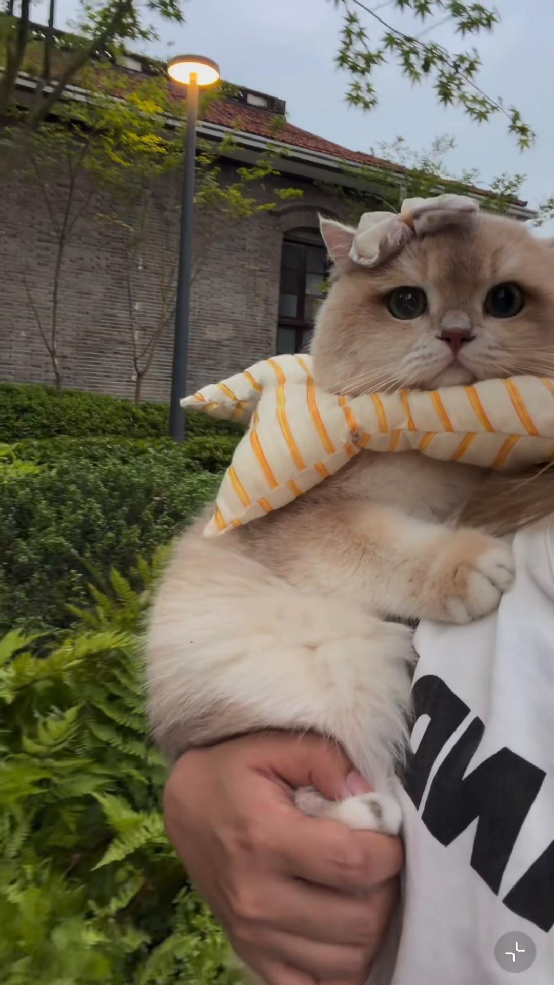 @My Daily Dose of Aww