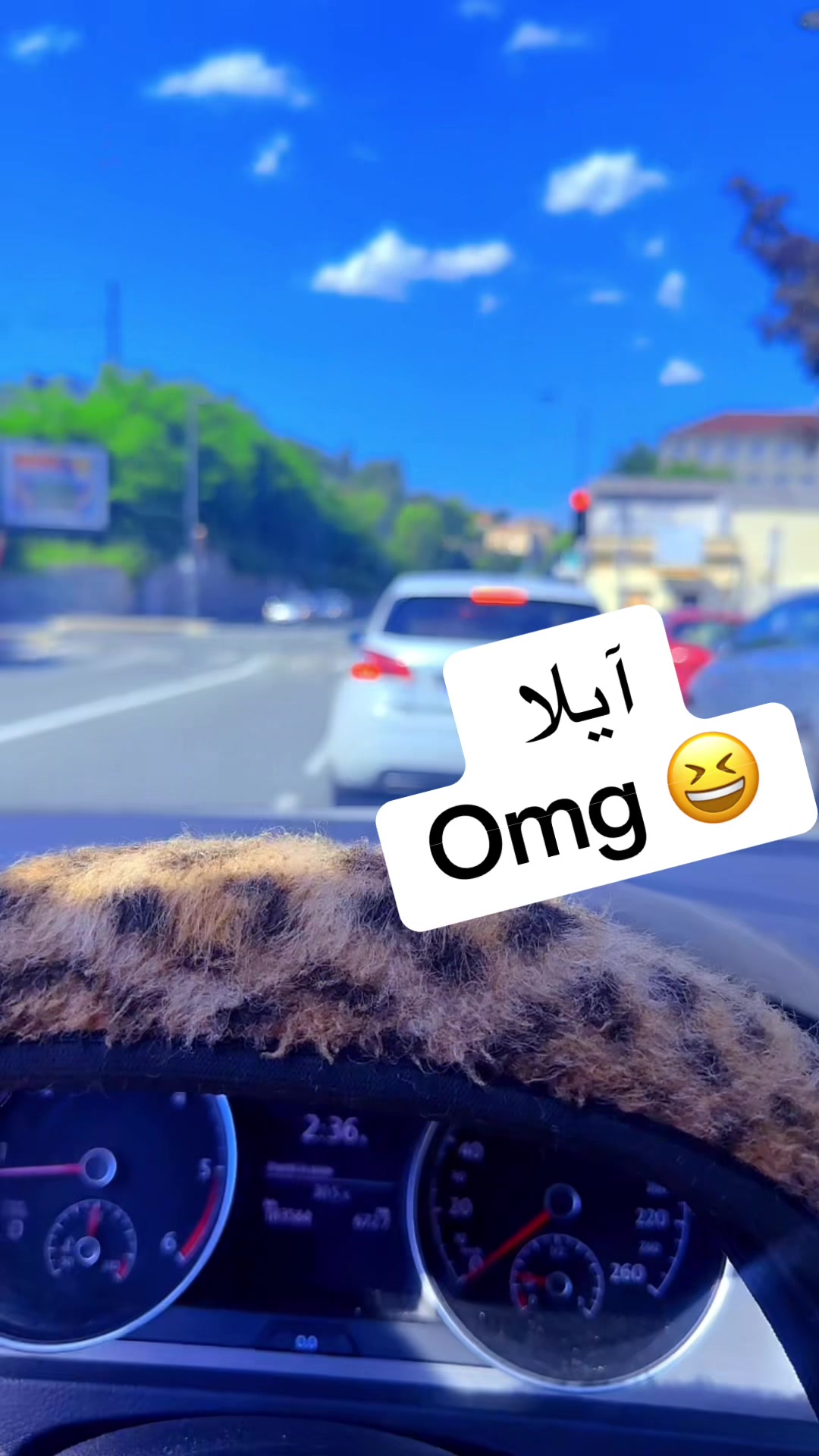 @aylanumber1🐆