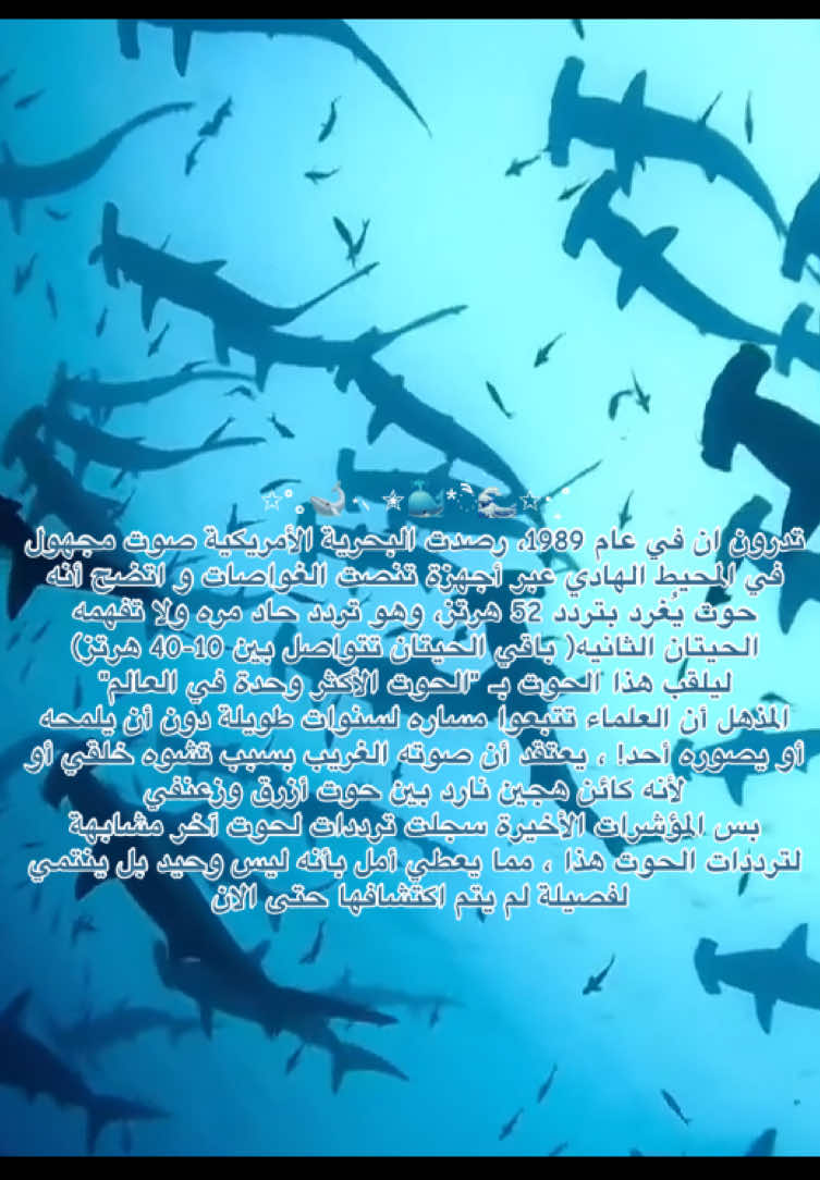@Sh|شَ 🌊🪷࿐ ౨ৎ ⋆ 。˚