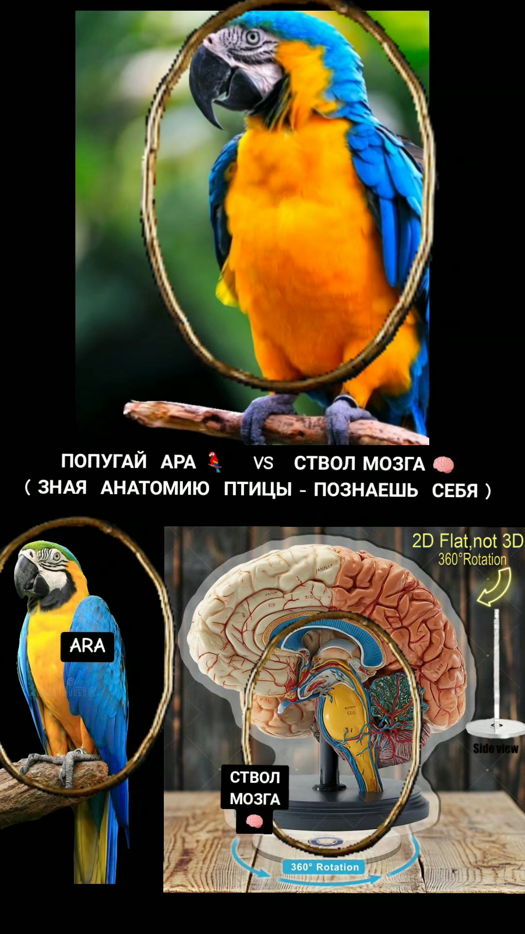 @ОЛЬГА ВЕЛЖИЧ