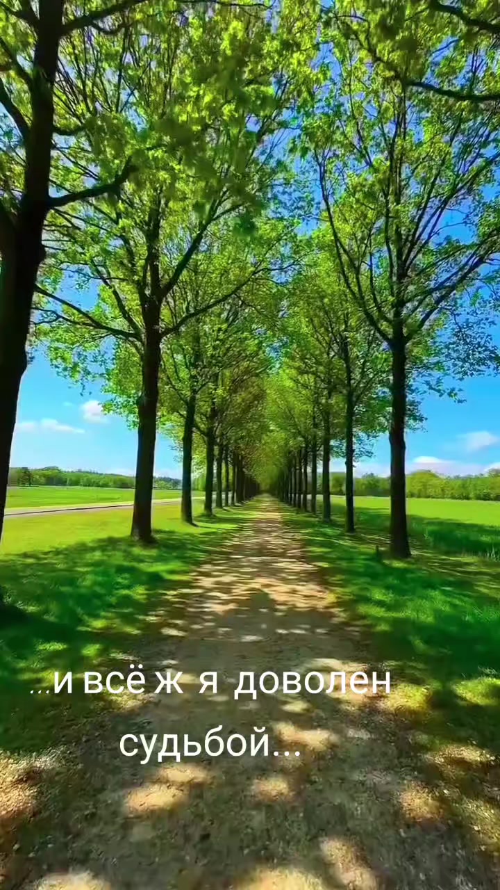 @Masha Orlowskaya