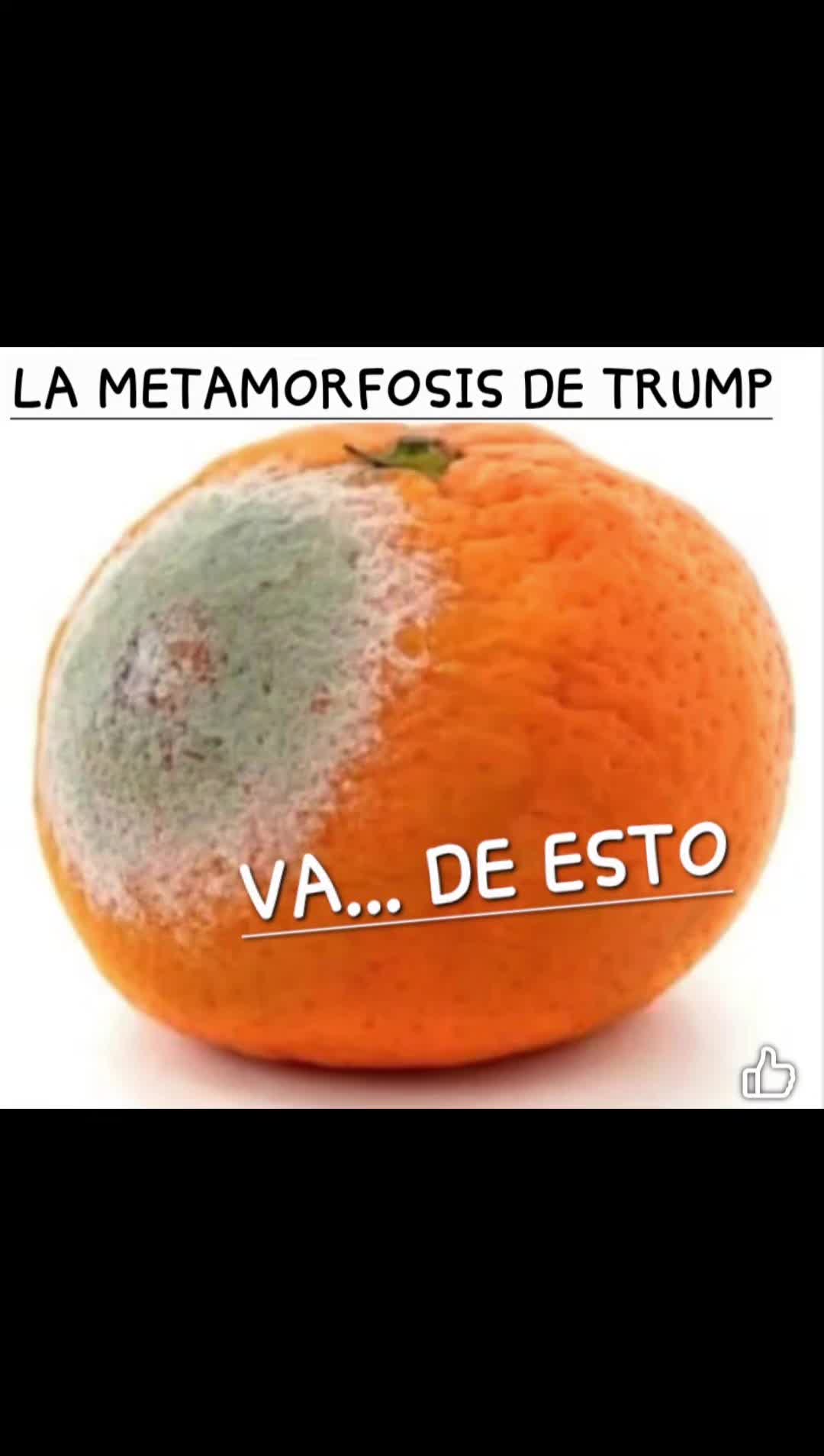 @J.w.B