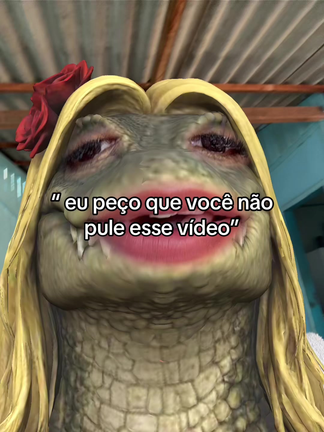 @cuca_da_mata