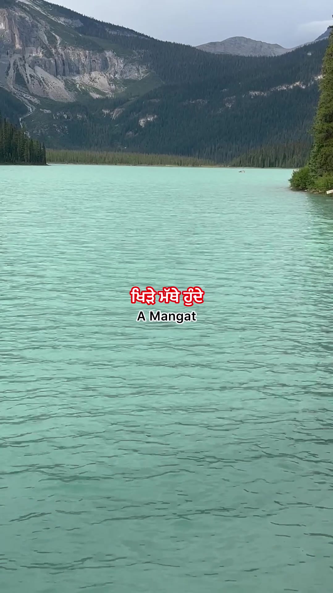 @A Mangat