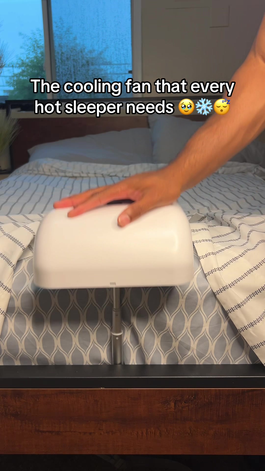 @RoseBloom