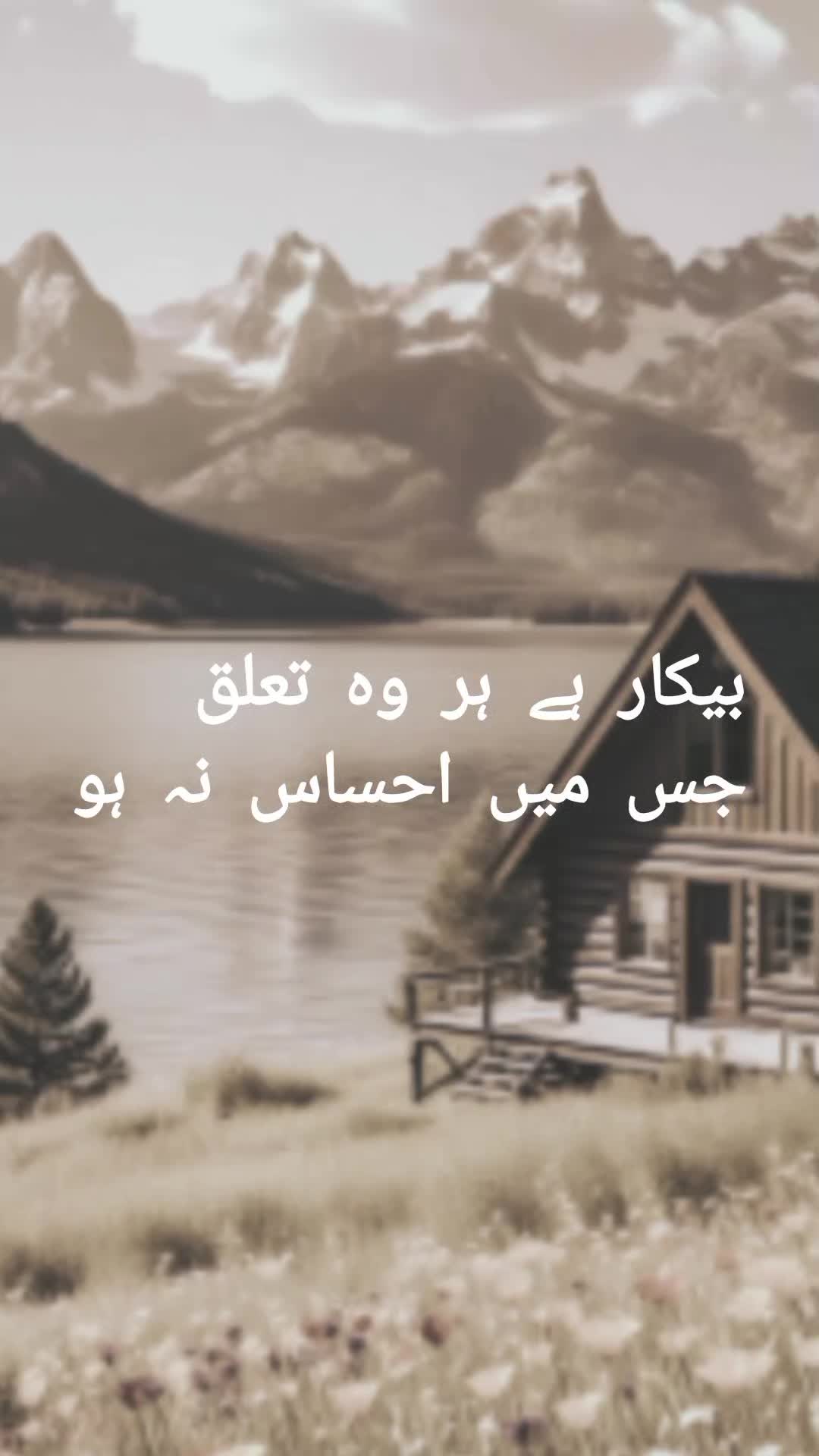 @ALIZA💔