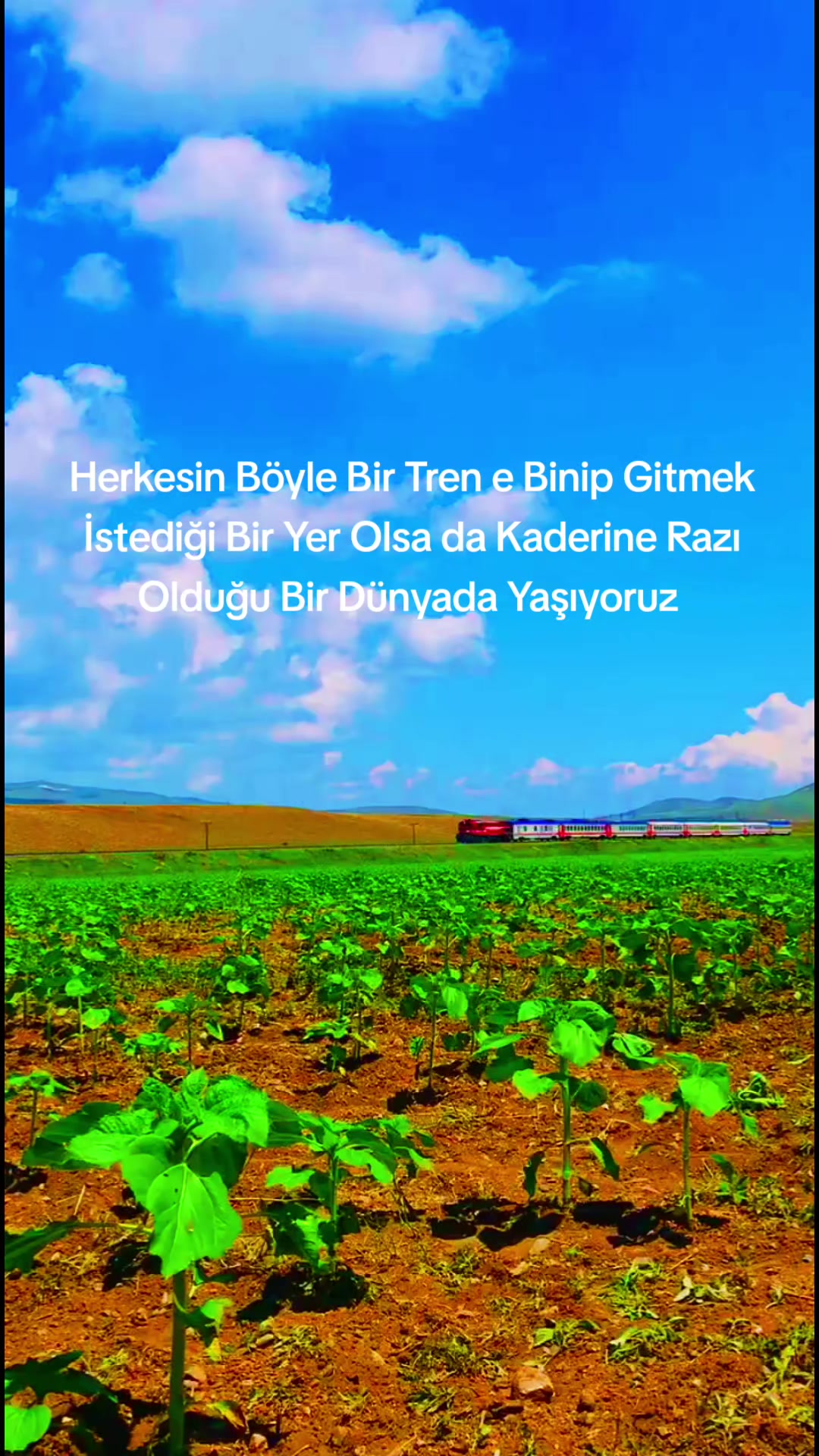 @Salih Öztürk