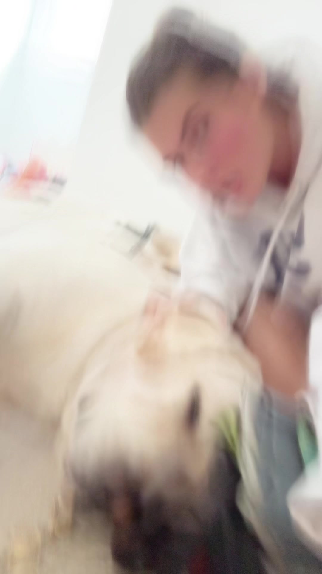 @graycerogers2