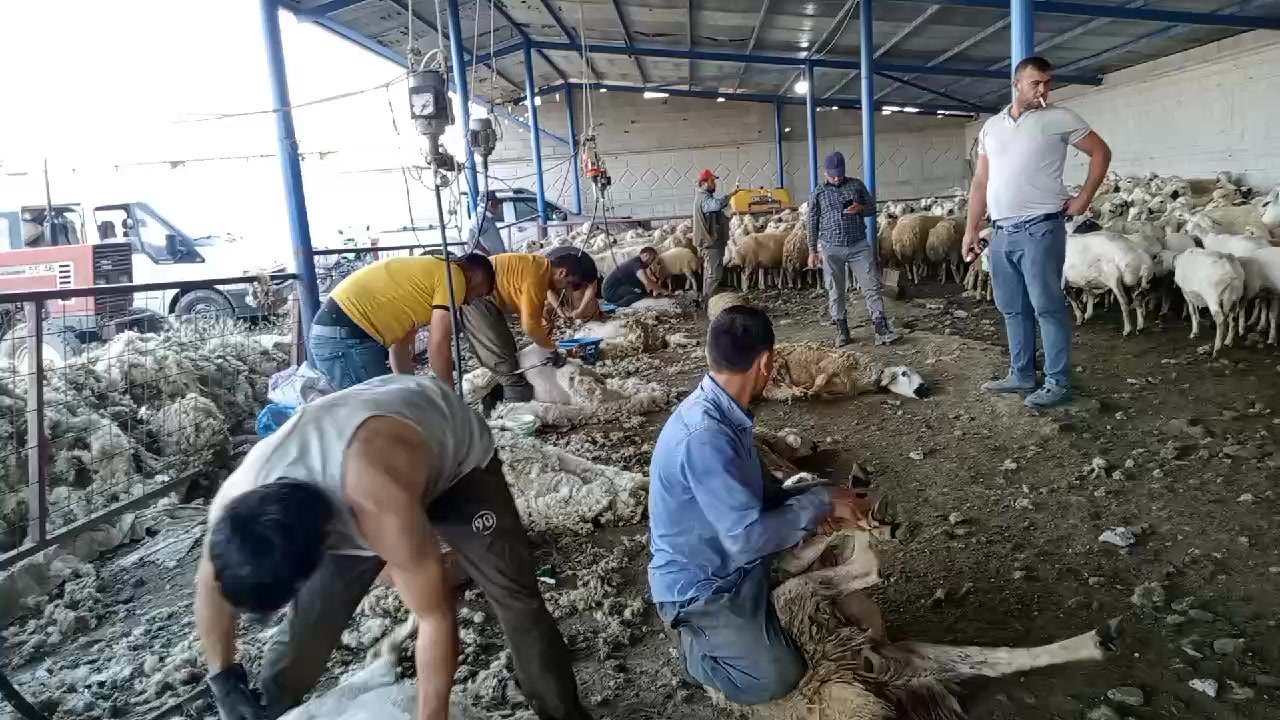 @İbrahim Kılıç