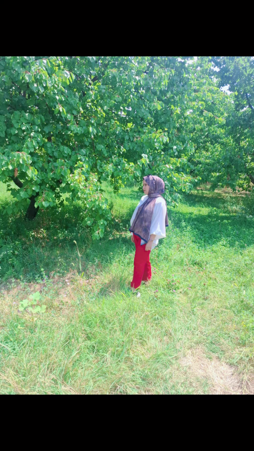 @Azeri kฤฑzฤฑ offical ๐น๐ท๐ฆ๐ฟ
