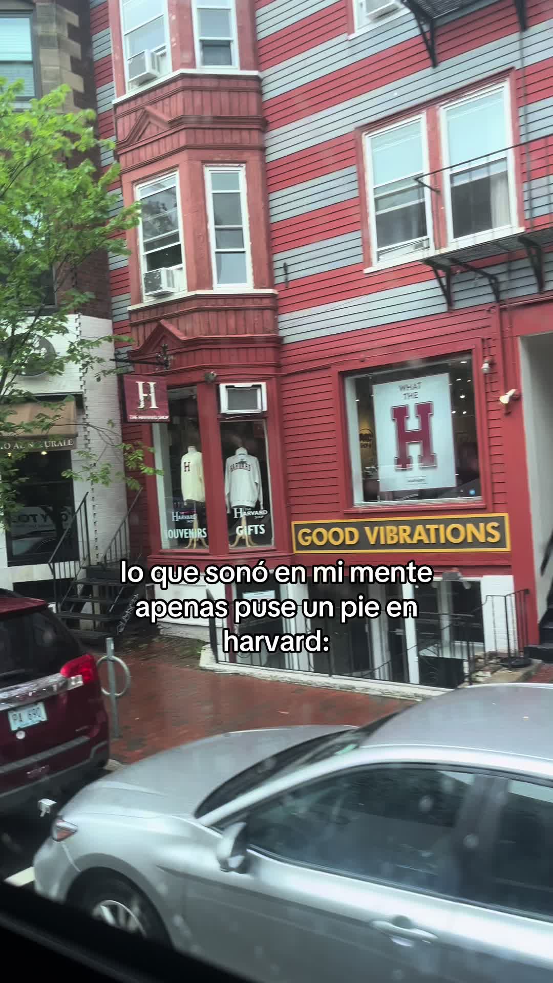 @lizzz🤍