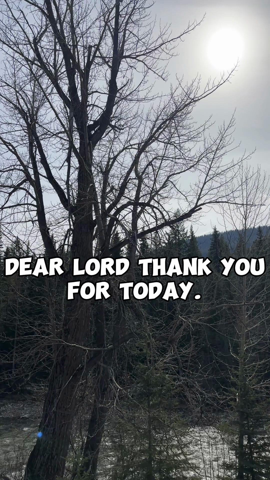 @Jody