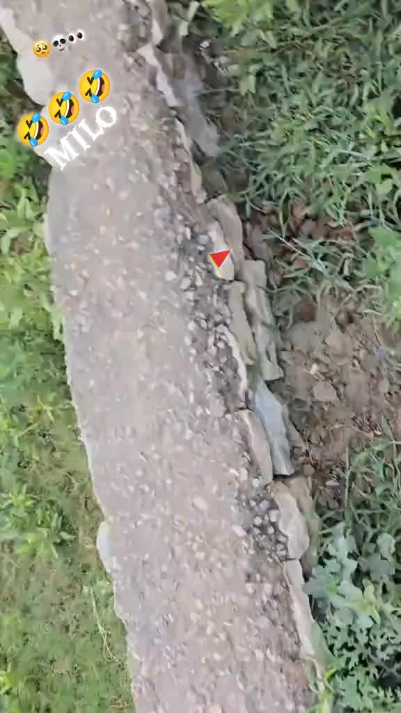 @➶➶➶➶➶ باغی🤡➍⓿➑🤡 ➷➷➷➷➷