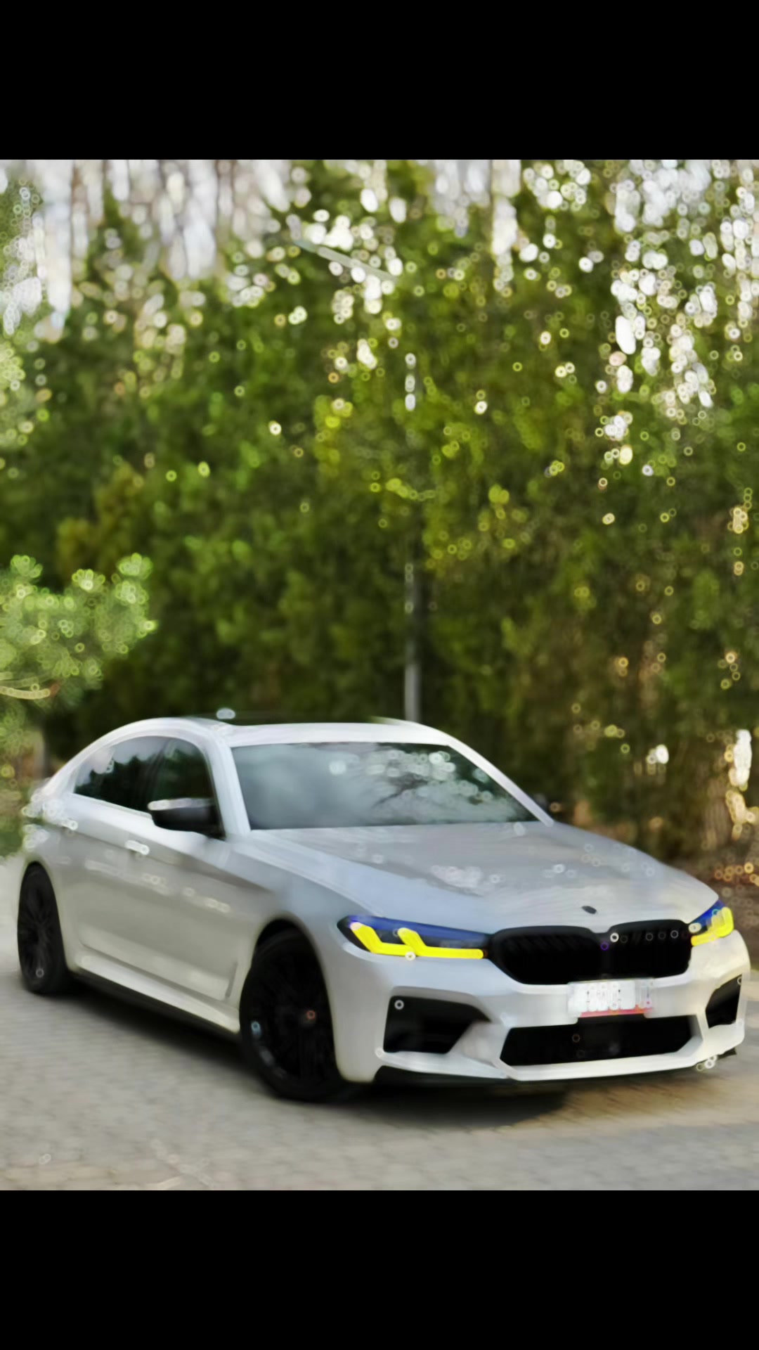 @ნიკა გოლოშვილი