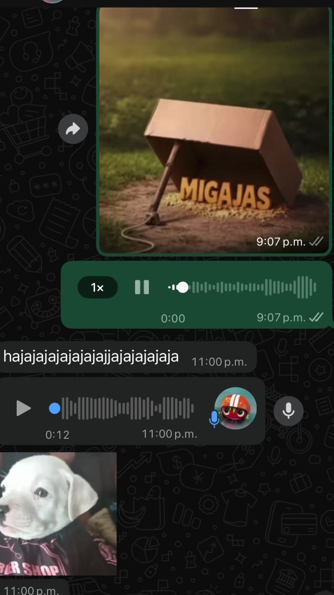 @Zunely_