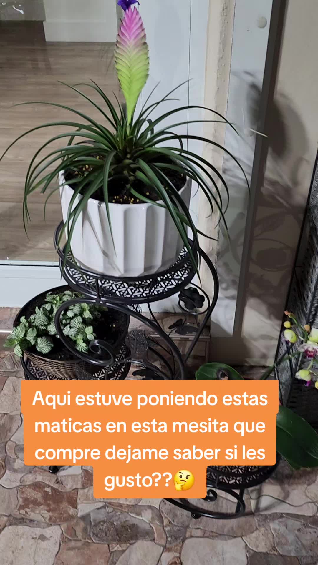 @Rosa