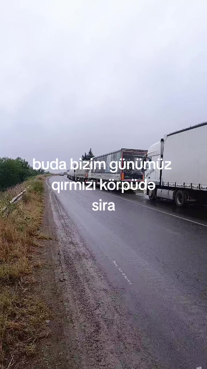 @vasifvasif