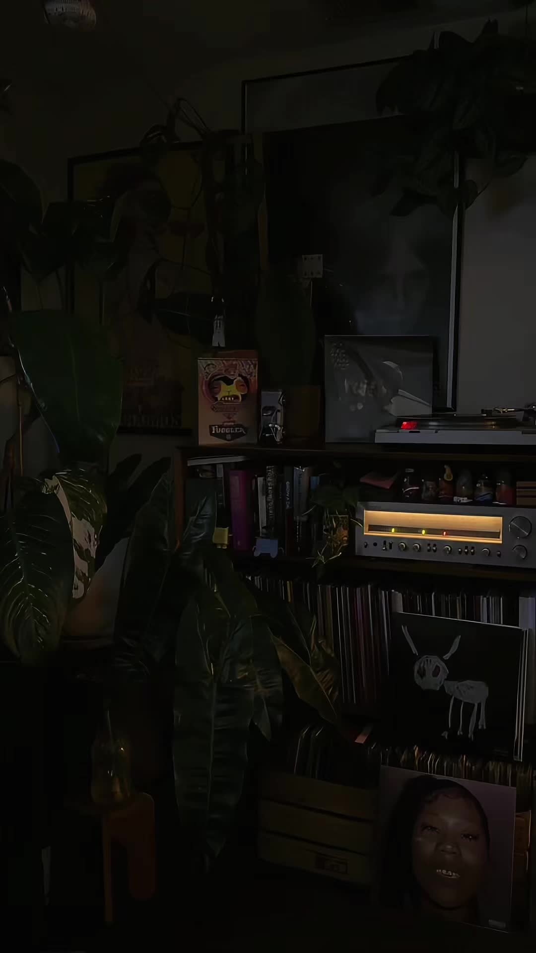 @oldirtybum