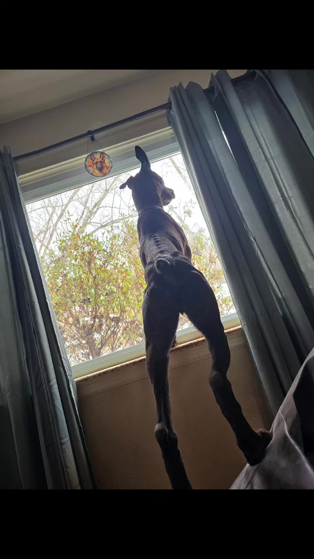 @RekkinWralf