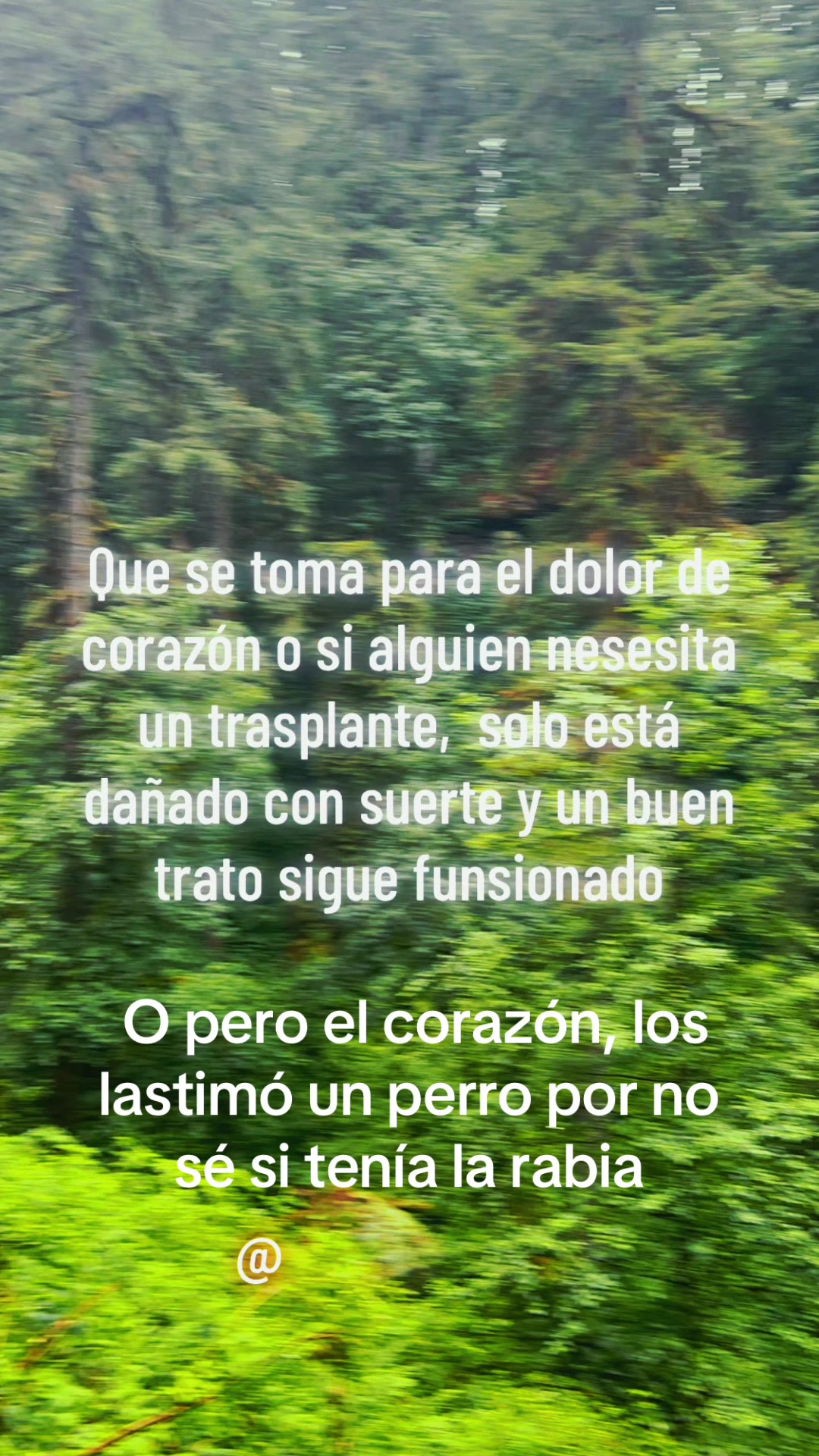 @Elizabeth Mendoza