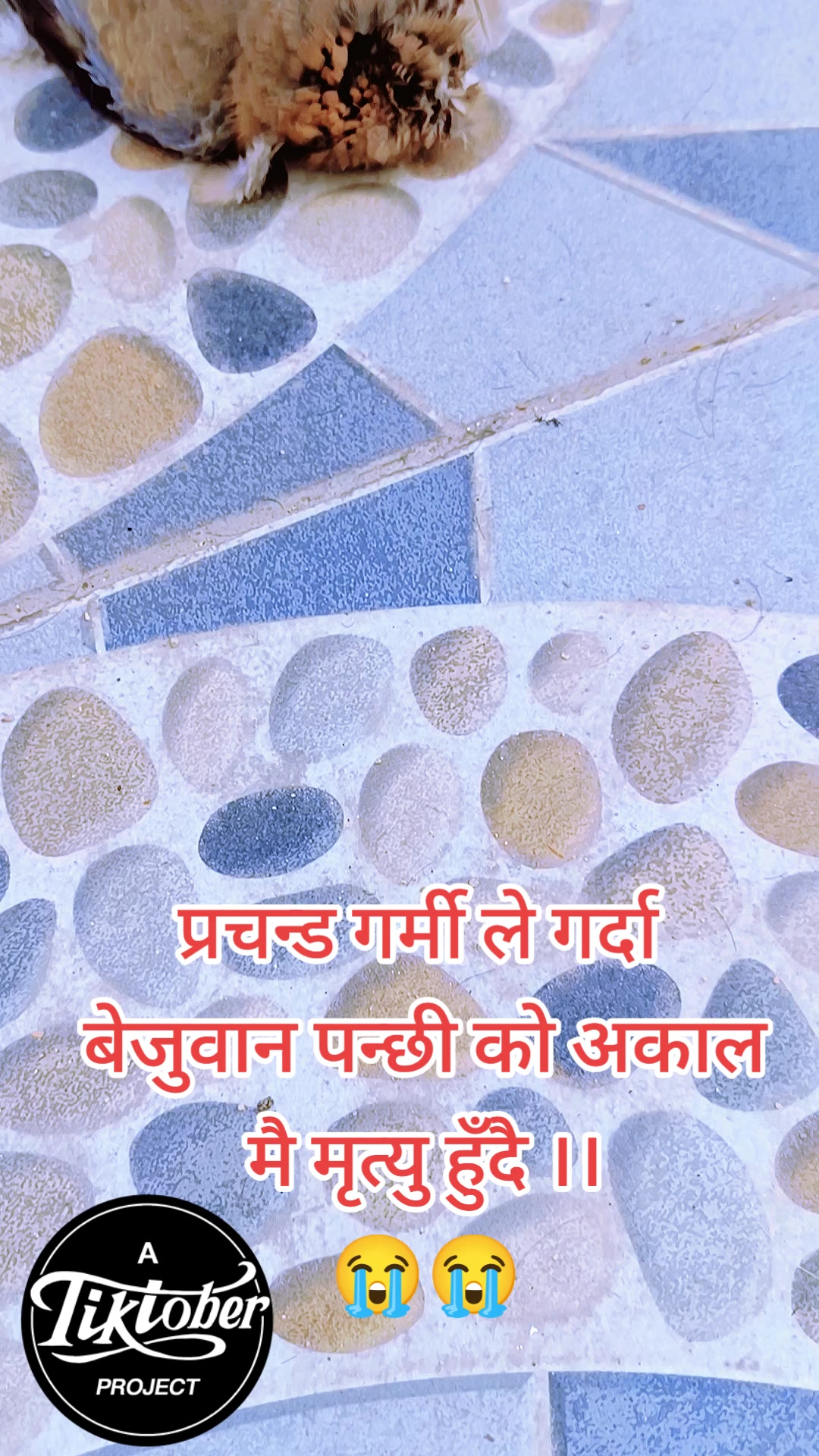 @Na❤️Sir