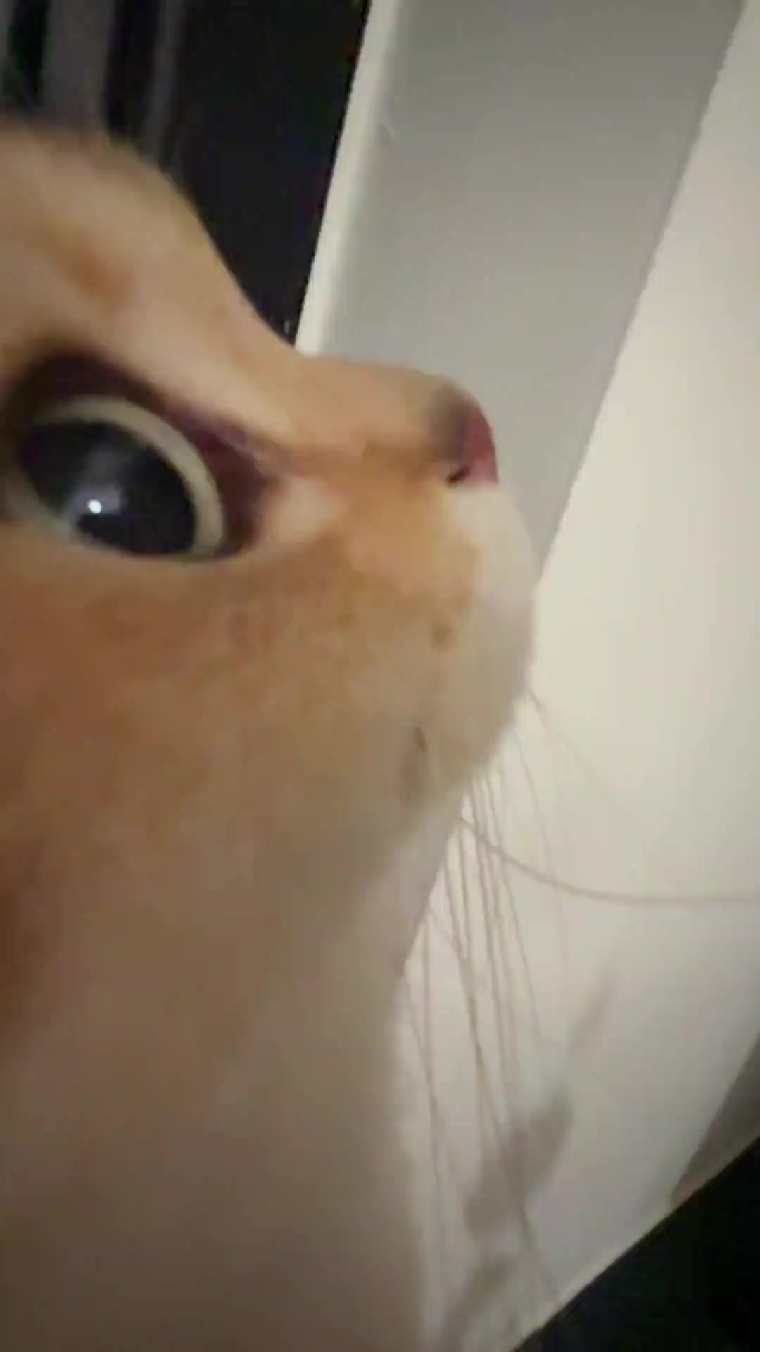 @trạm cute