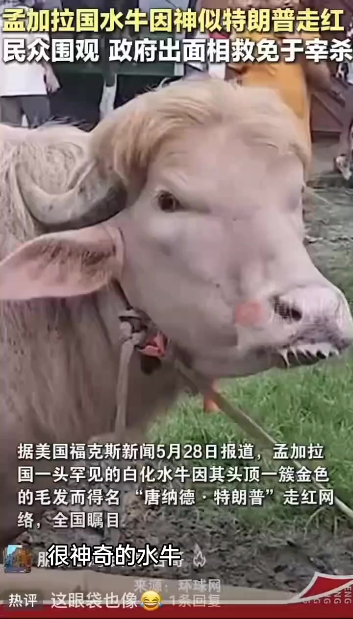 @開心果