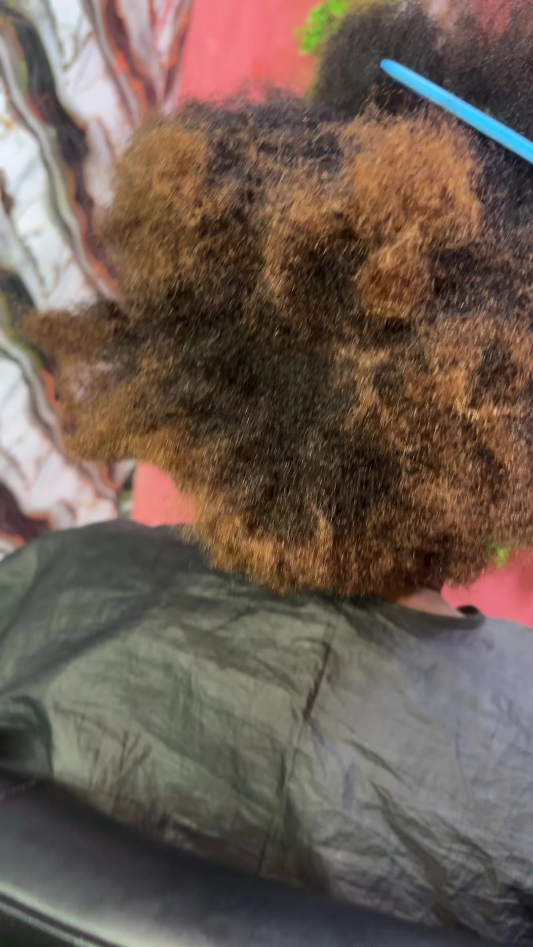 @Sassouhairstyliste✂️💇♀️