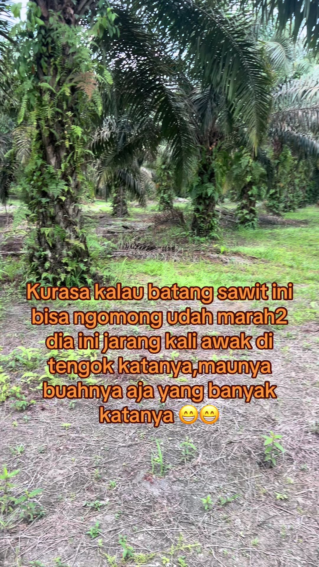 @Darma ginting