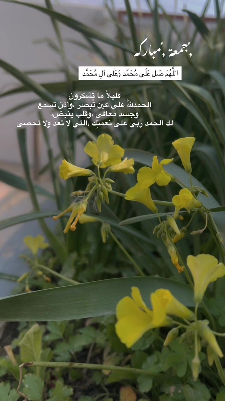 @لحظة الأمل 🫀🤍