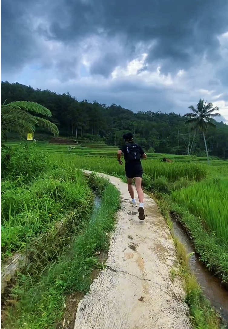 @Bang ZMP