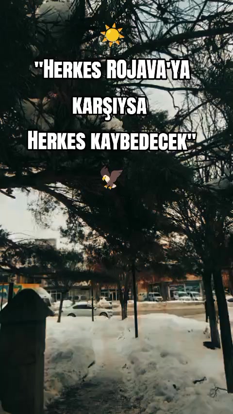 @©️🅰️🅽