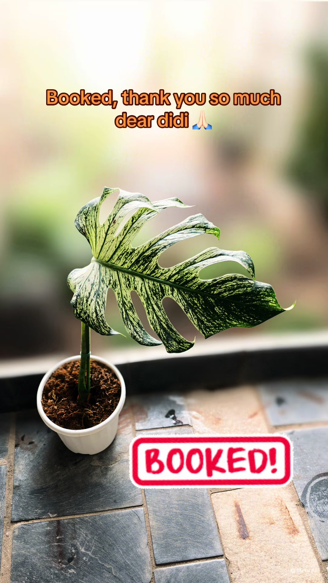@Plantlife50