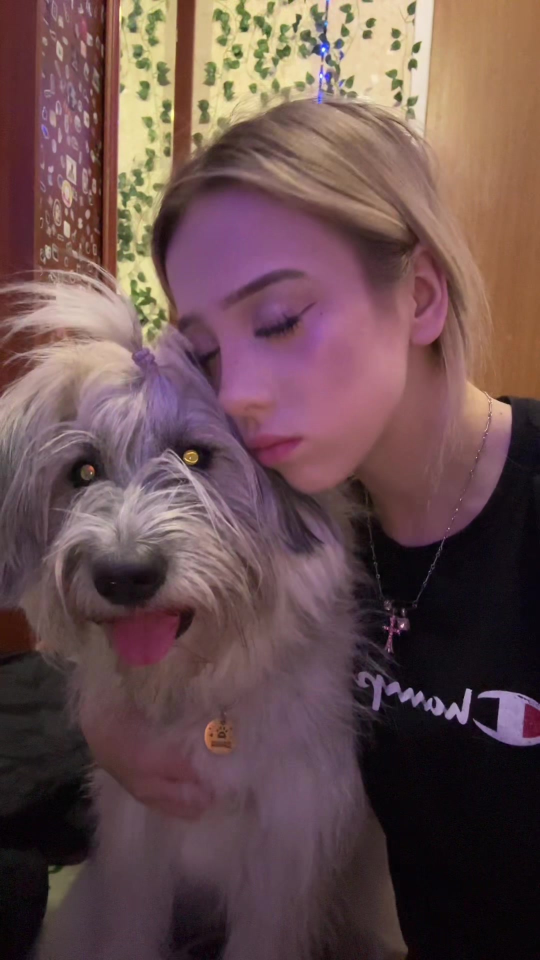 @стиша фак 🦫