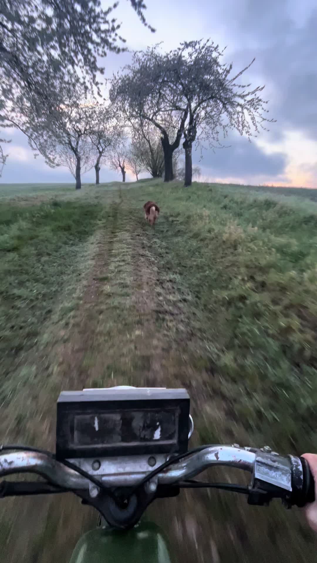 @#KrugTom