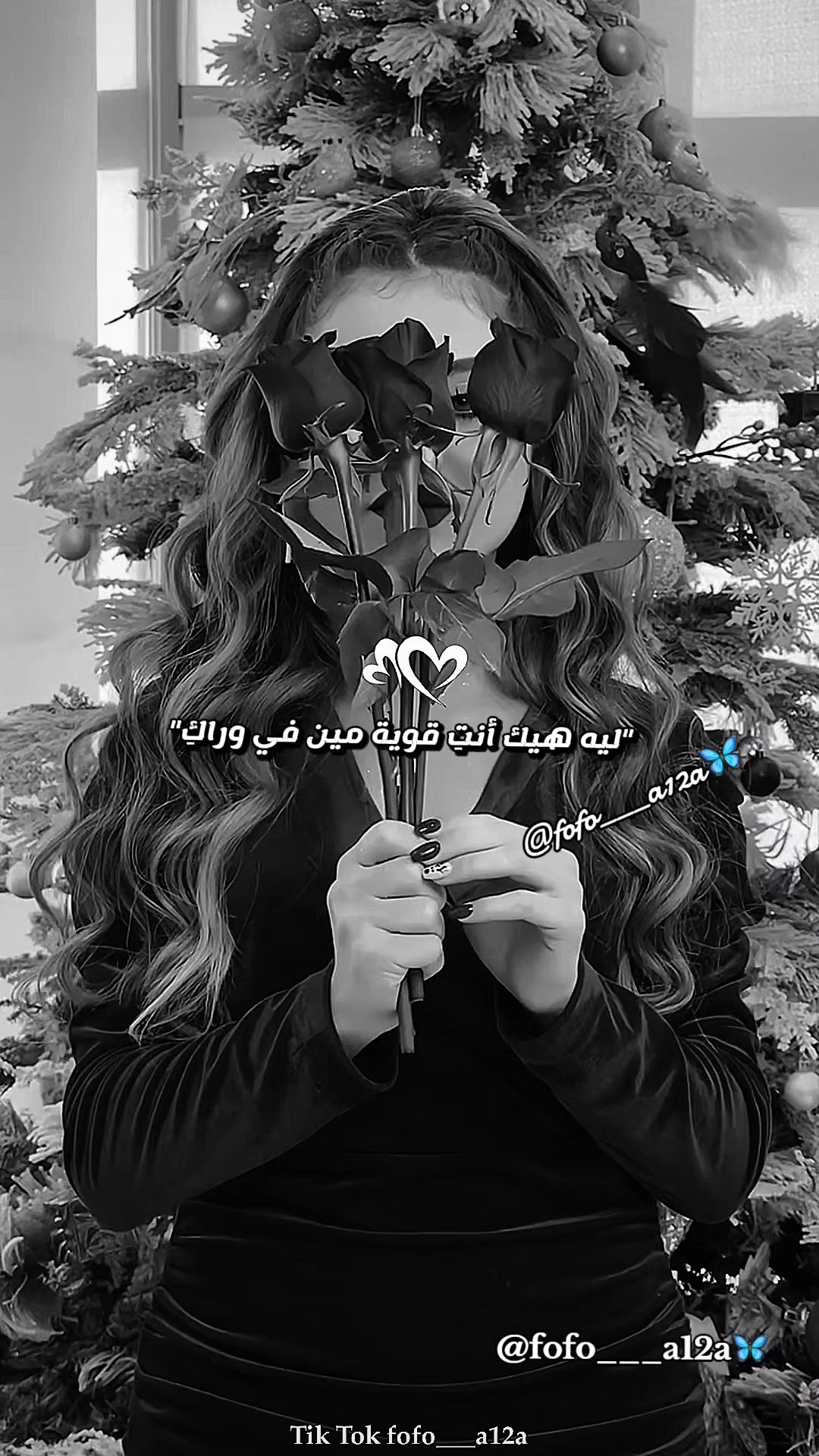 @✨🦋فراشـᬼ❥᭄❥ᬼـة🦋✨