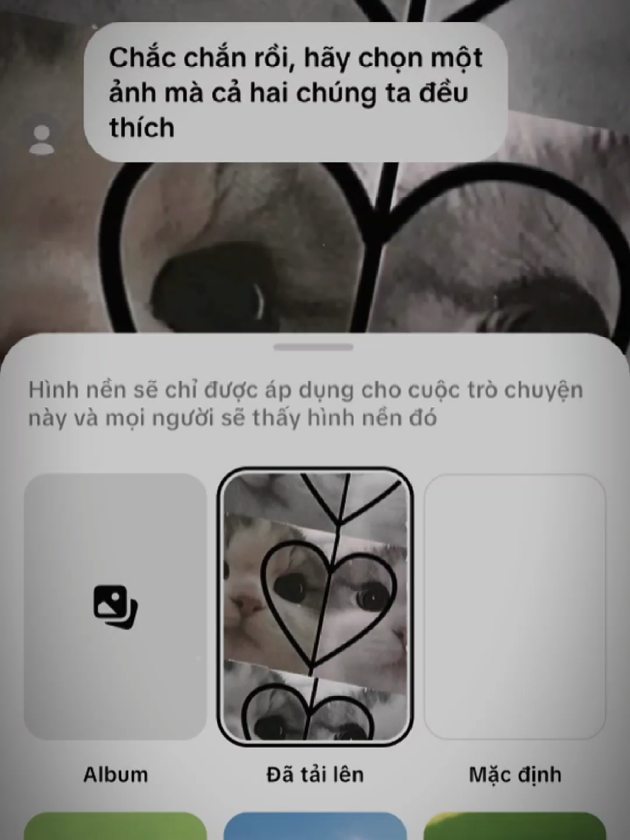 @bmyyy