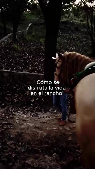 @JULION ALVAREZ FANS 🇲🇽