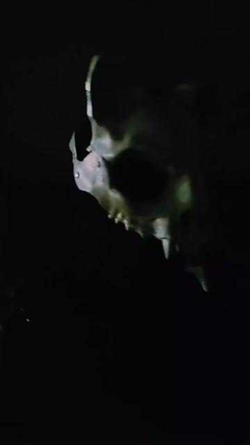 @AiroStriker