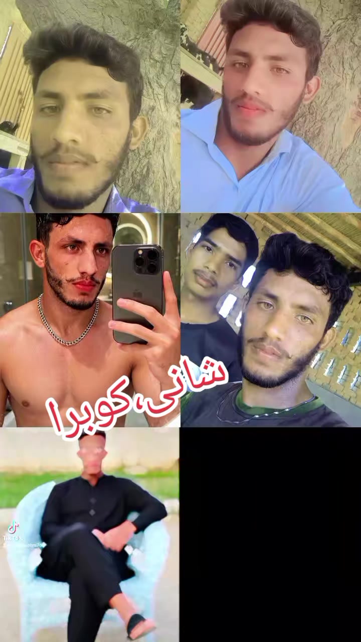 @Shani cobra