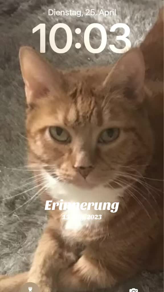 @Uwe Voigt
