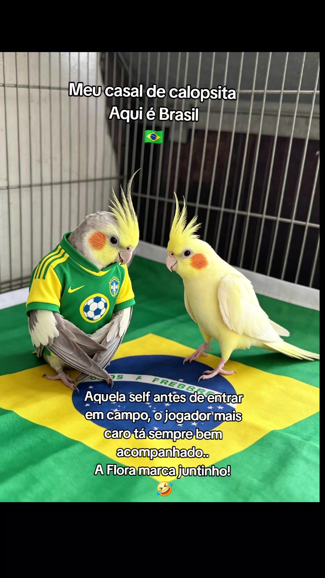 @carlasoares3435