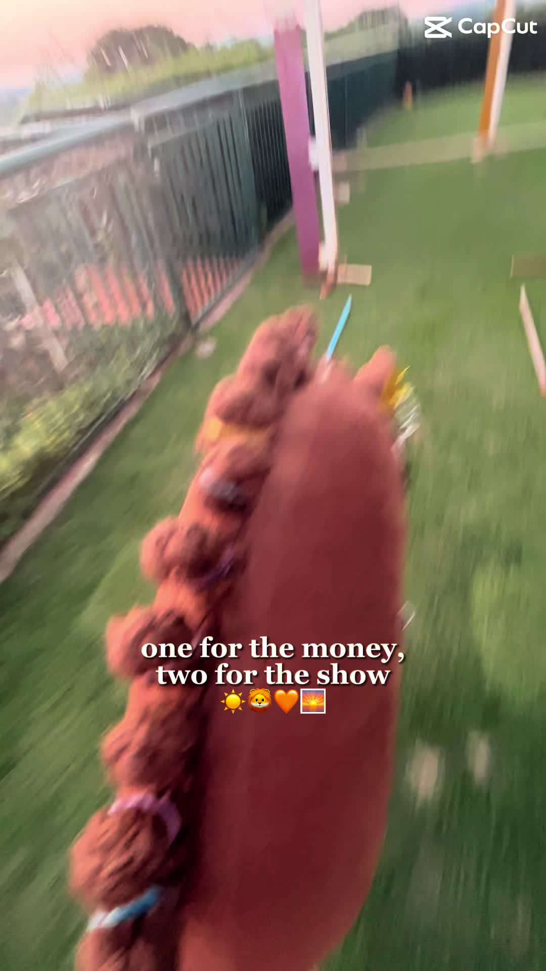 @mahh