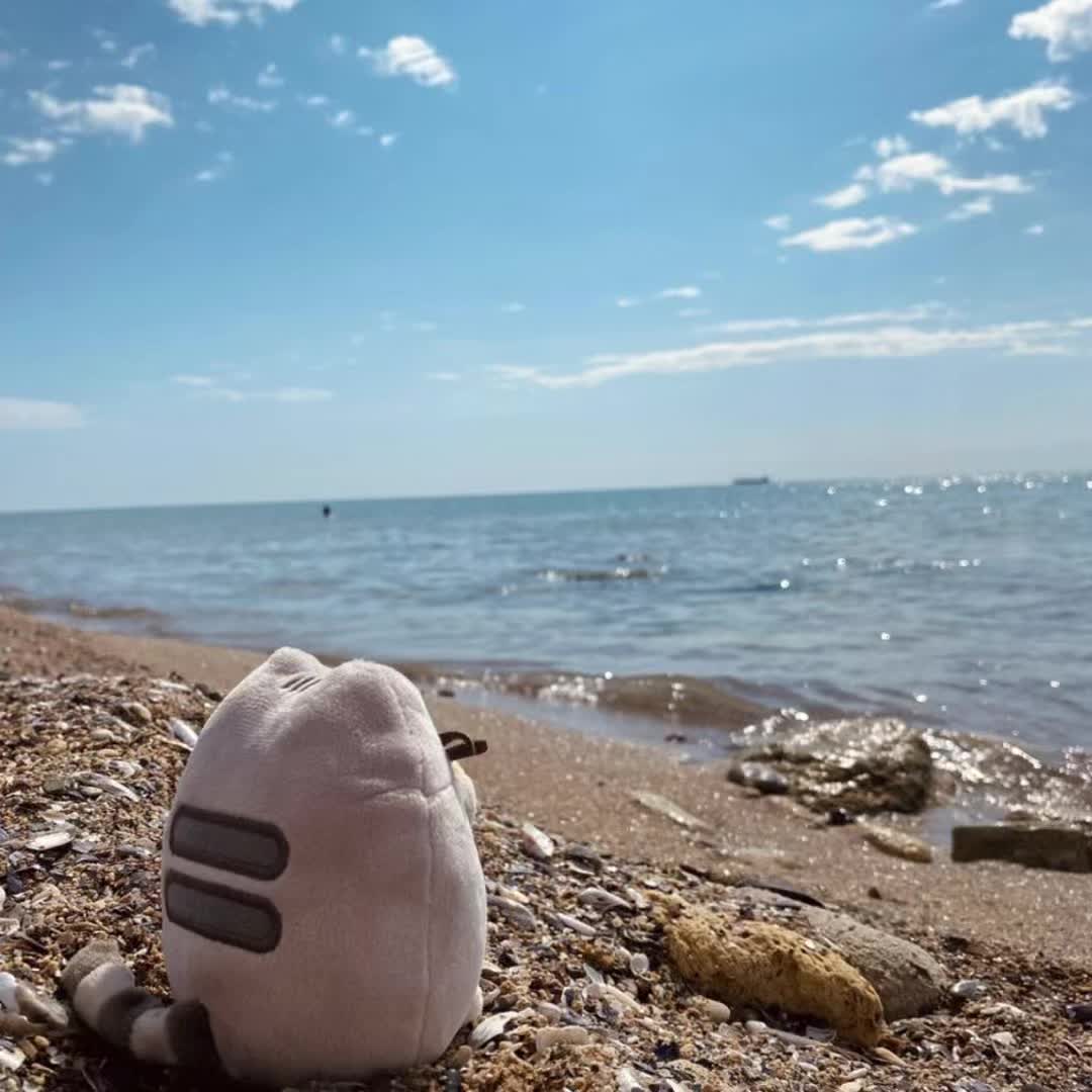 @Танцюй як що знаєш цей тренд
