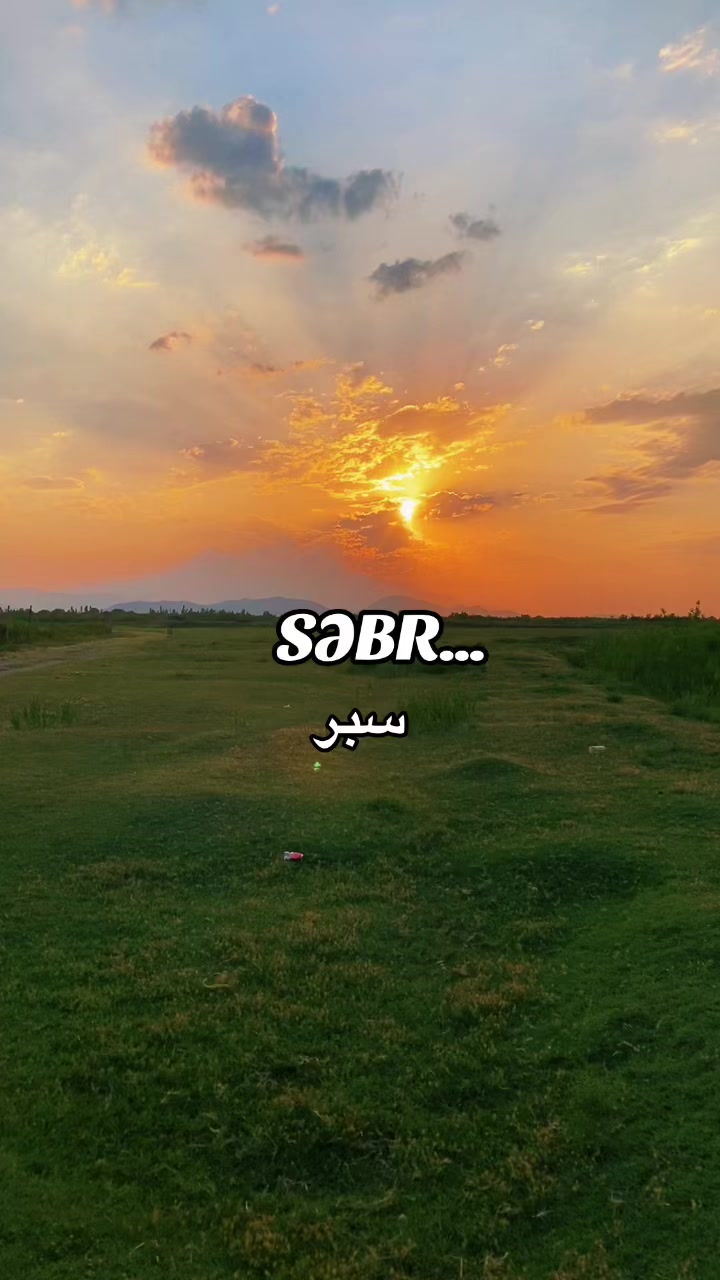 @_gulu_313