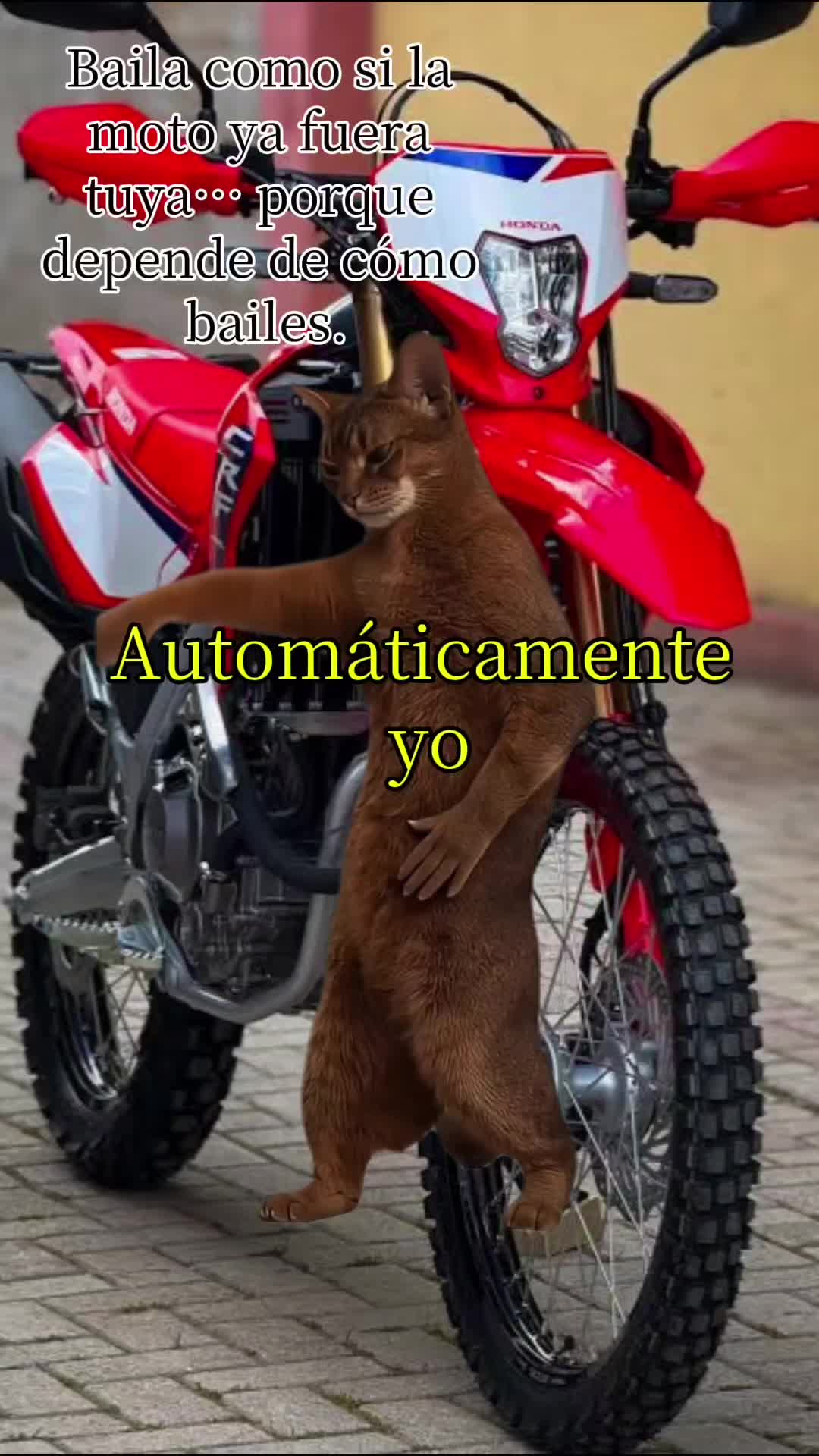@Rosalba Deporte